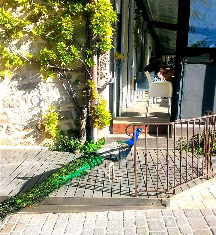 Hotel B Lodge سان تروبيه المظهر الخارجي الصورة